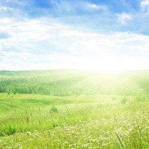 Meet your Posher, Britany